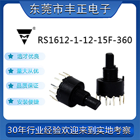 RS16СzD(zhun)_(ki)P(gun)